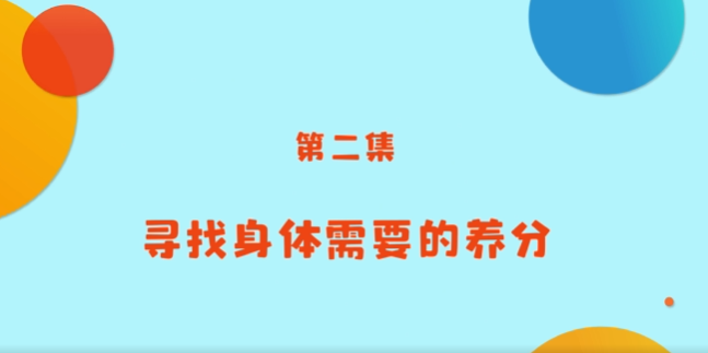 《小小營養(yǎng)師》科普課程——第二講